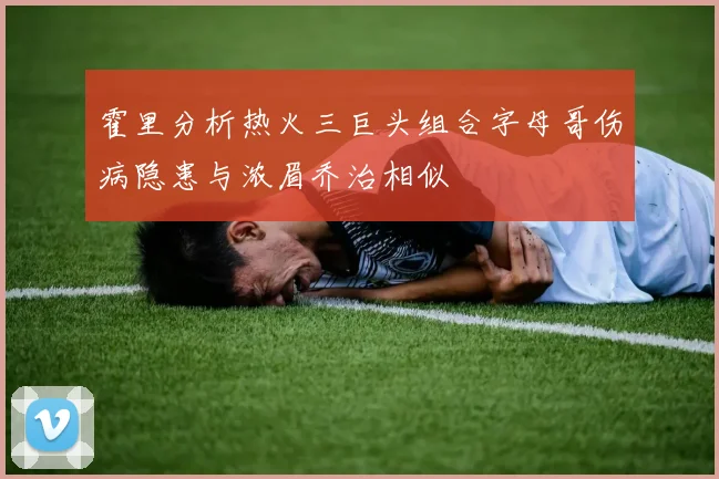 霍里分析热火三巨头组合字母哥伤病隐患与浓眉乔治相似