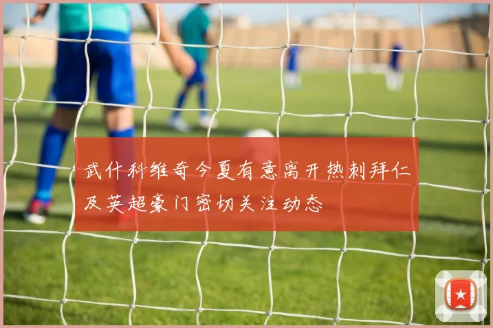 武什科维奇今夏有意离开热刺拜仁及英超豪门密切关注动态